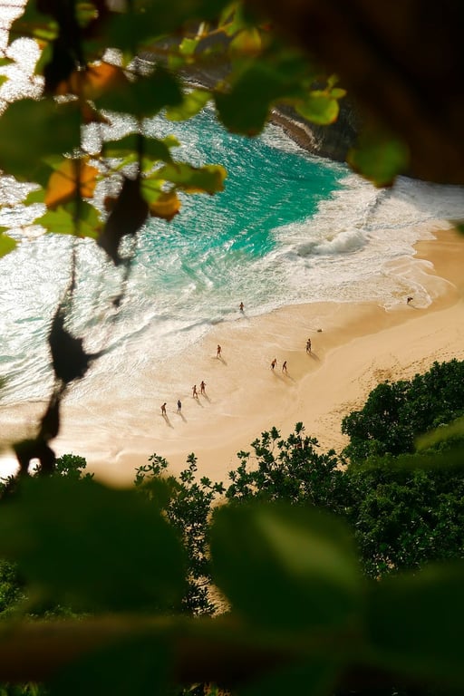 Aerial Photography of People Near Seashore